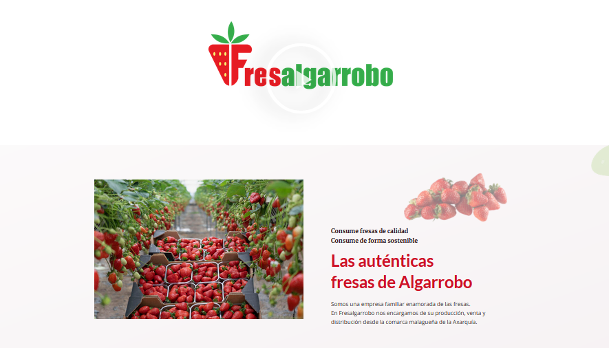 Diseño web Fresalgarrobo